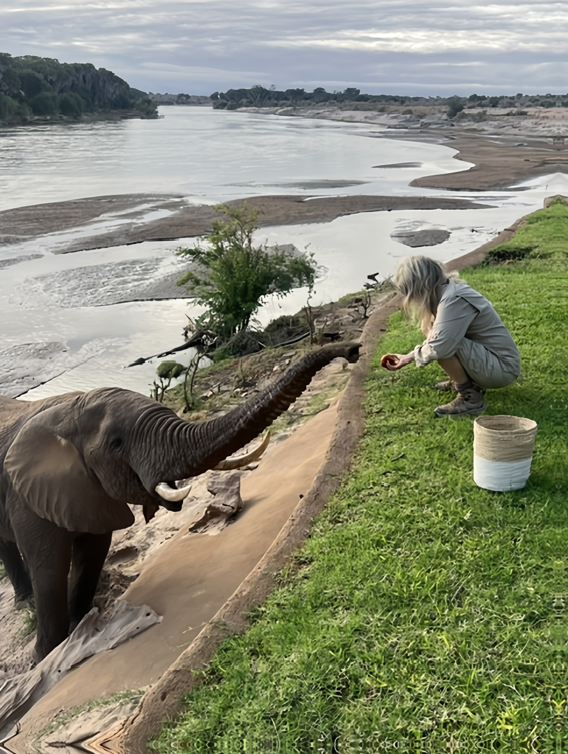 Carolyn feeding an elephant in Kenya